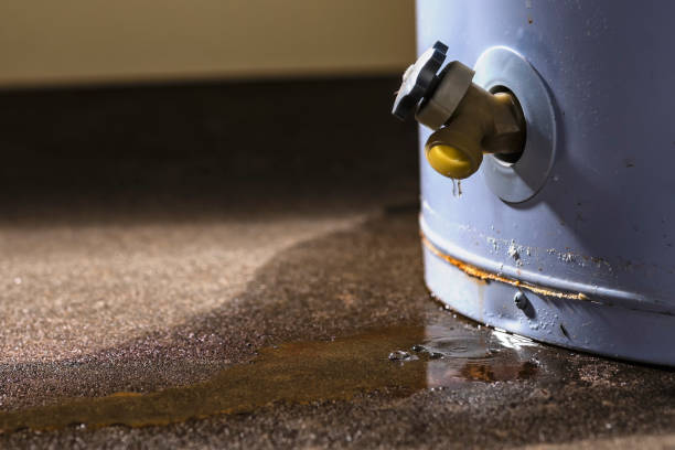  Amboy, IL Water damage restoration Pros