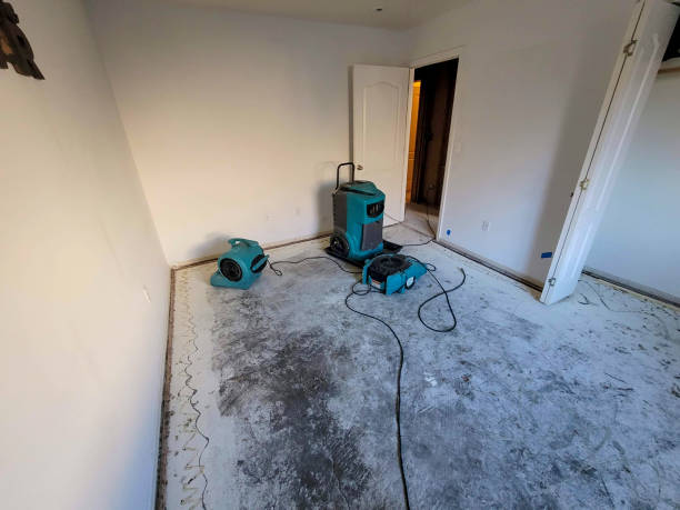 Best Flood damage cleanup  in Amboy, IL