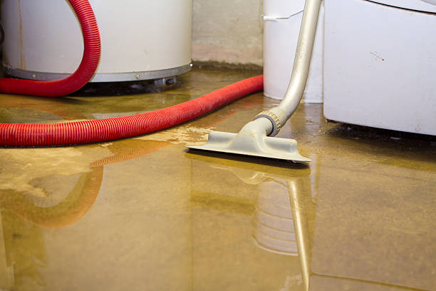 Best 24-hour water damage restoration  in Amboy, IL