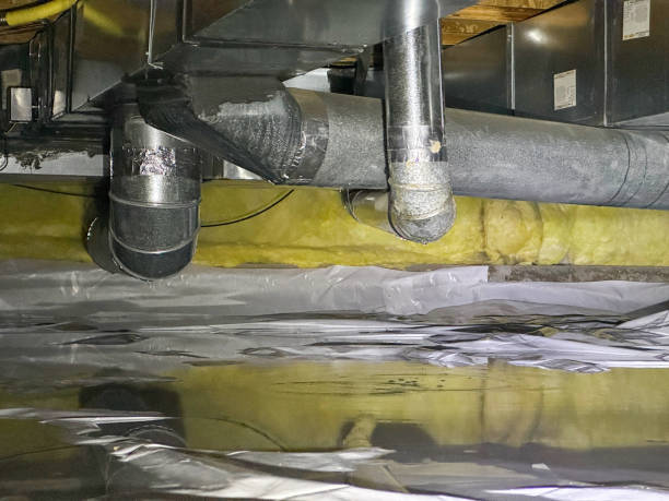 Best Fire Damage Restoration  in Amboy, IL