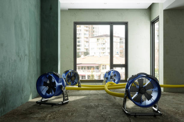 Trusted Amboy, IL Water damage restoration Experts